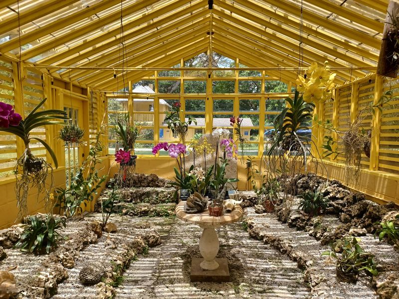 The Orchid Collection and Annual Festival