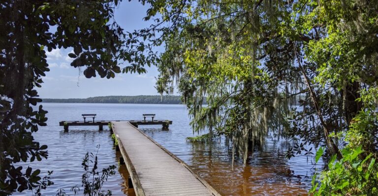 One of Florida’s Prettiest Lakes Is Tucked Inside This Under-the-Radar State Park
