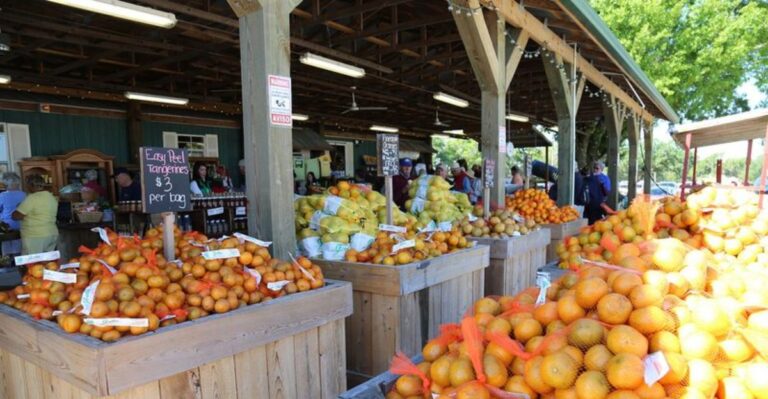 Pull Over for the Citrus, Stay for the Old-Florida Farm Store at This Florida Grove
