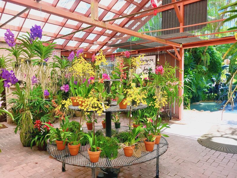 A Hidden Oasis Worth Discovering