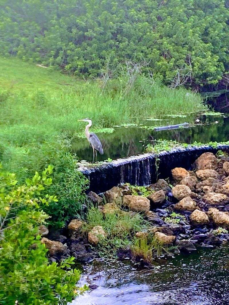 Charlotte Harbor Preserve State Park Offers Wild Florida