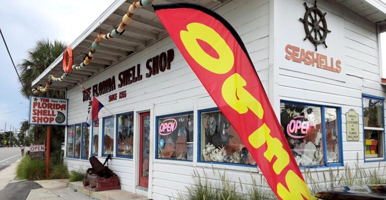 Real Sand Dollars Cost Less Than Fake Ones at These 10 Florida Shell Shops