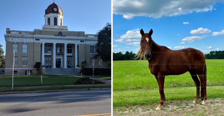 Rent Near $850 Makes This Small Florida Town One of the State’s Most Interesting Bargains