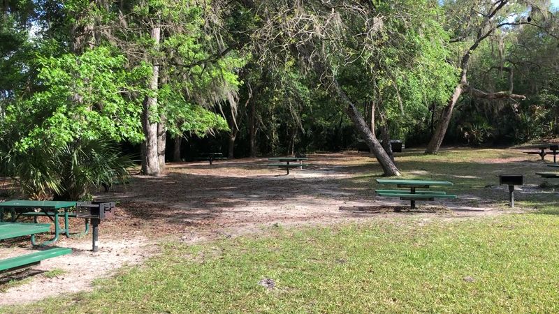 Picnic Areas Perfect for All-Day Hangouts