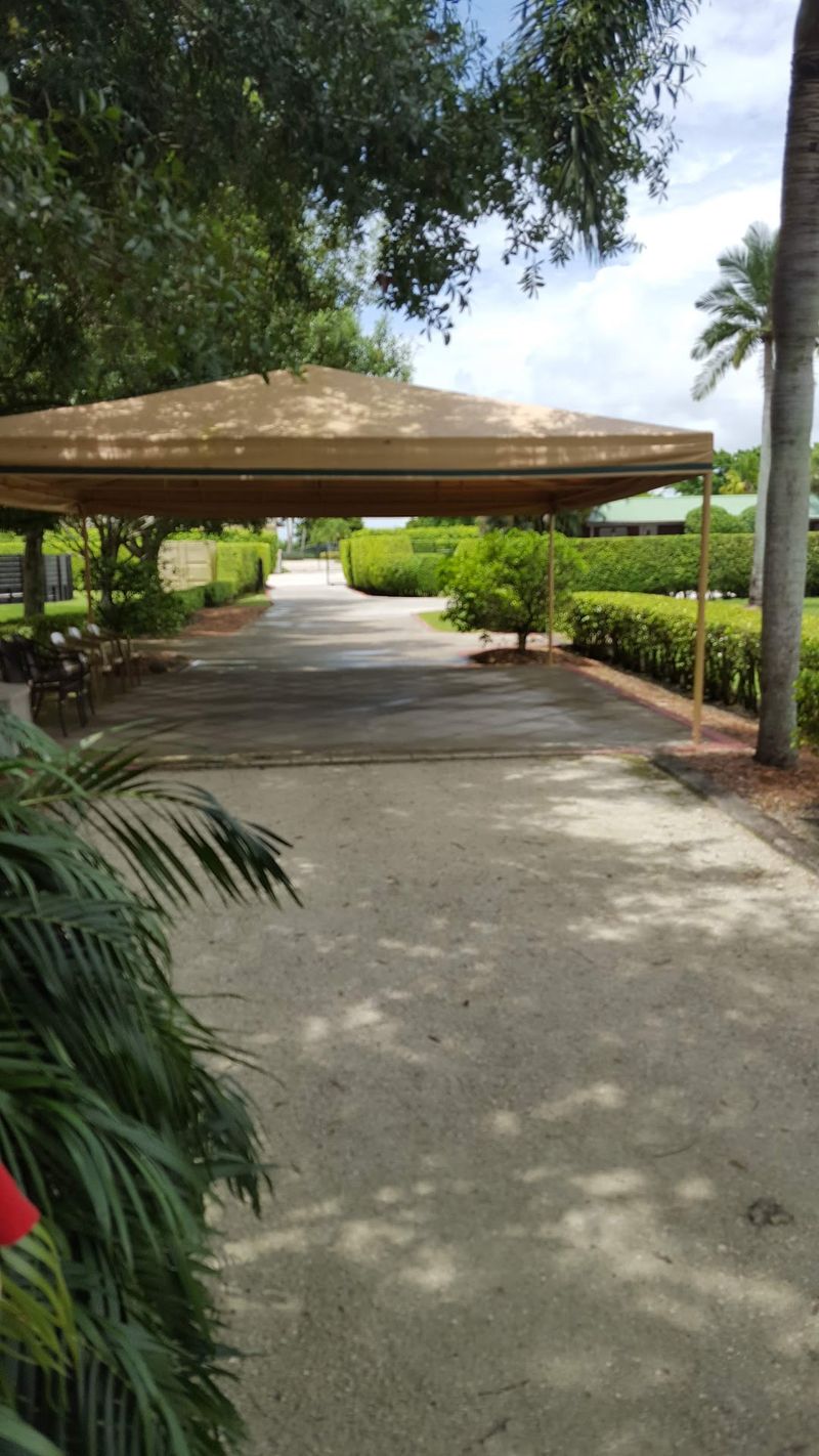 Practical Tips for Making the Most of Your Visit