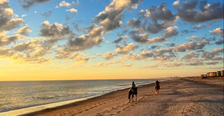 Saddle Up at These 9 Florida Horseback Riding Spots Made for an Unforgettable Adventure