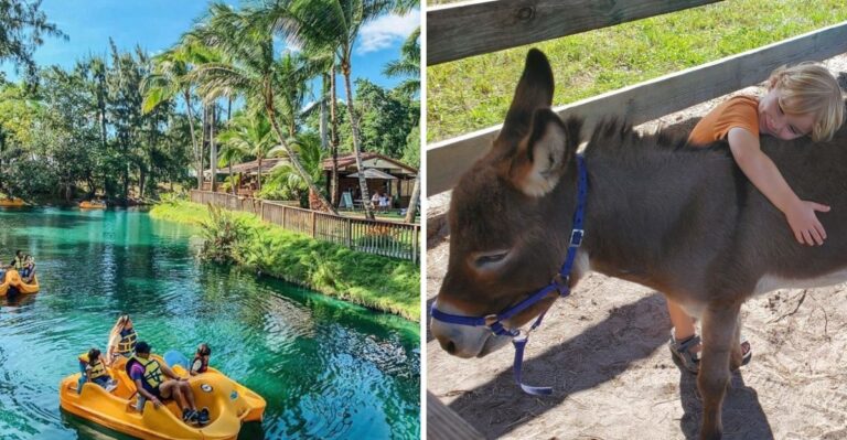 September Brings Sweet Seasonal Fun to These 10 Florida Farms