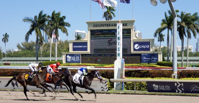 Since 1939, This Hallandale Beach Racetrack Has Been Part of Florida’s Racing History