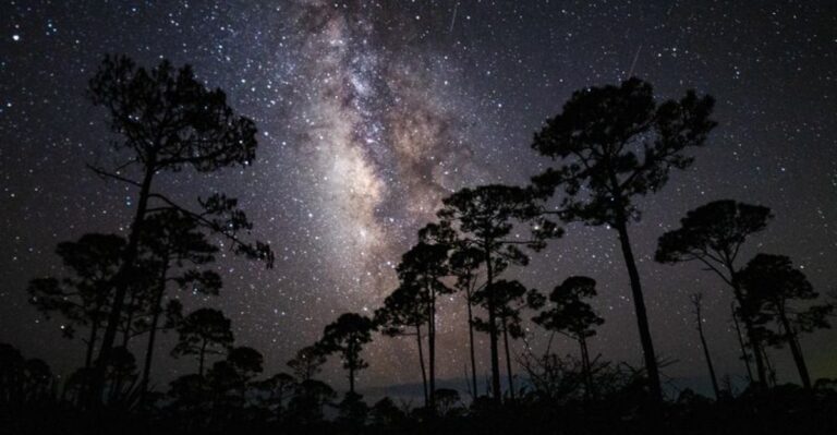 Skip the City Lights and See the Milky Way at These 12 Florida Spots
