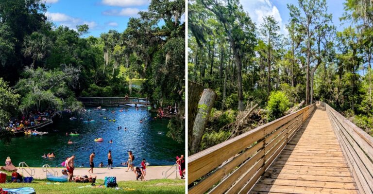 Spend a Beautiful Fall Day With Your Dog on These 11 Florida Hikes