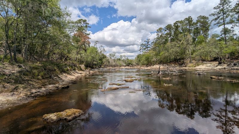 Big Shoals State Park - White Springs
