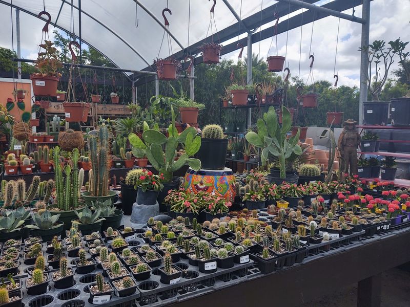 A Plant Selection That Goes Beyond the Basics