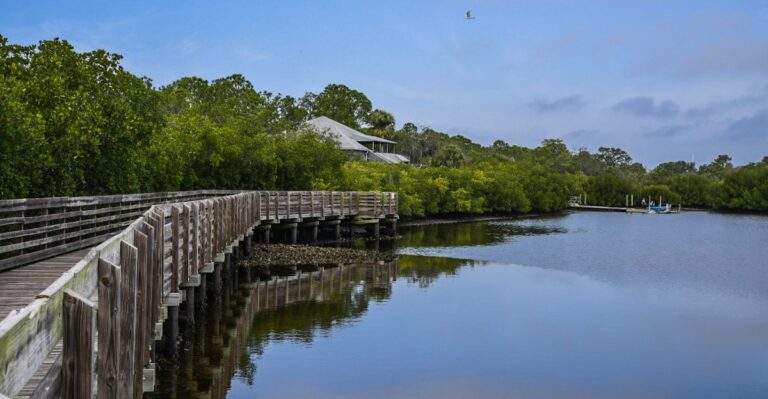 Tampa Has a Nearly 600-Acre Park With Live Animals That Costs Just $2 to Enter
