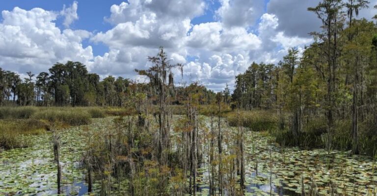 There’s a 440-Acre Wilderness Hideaway Practically in Disney World’s Backyard