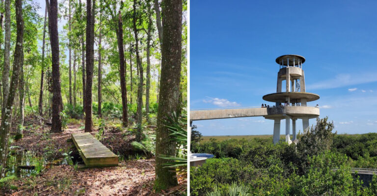 These 12 Florida Trails Prove You Don’t Need a Beach to Find an Amazing View