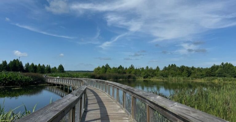 These 12 Senior-Friendly Florida Walking Trails Are Perfect for a Peaceful Day Outdoors