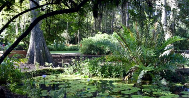 This $2 Hidden Garden in Tampa Has Florida’s Largest Public Collection of Ferns