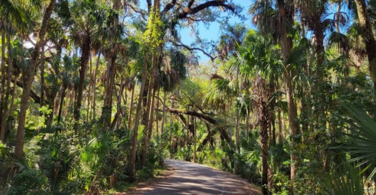 This Enchanting Florida Hike Feels Straight Out of a Fairytale