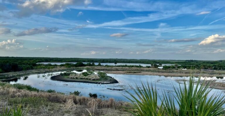 This Florida State Park Has an Awful Name but One of Tampa Bay’s Most Beautiful Paddles