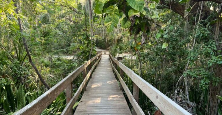 This Hidden Florida Preserve Is Hiding a 1,200-Year-Old Secret