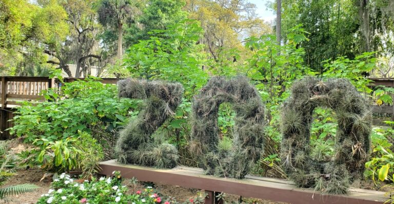 This Lush Zoo Near Orlando Feels Like a Rainforest Escape and Costs Less Than a Theme Park