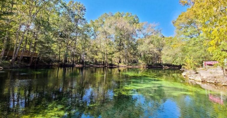 This Secret Spring Near Gainesville Looks Like the Caribbean but Costs Less Than $8