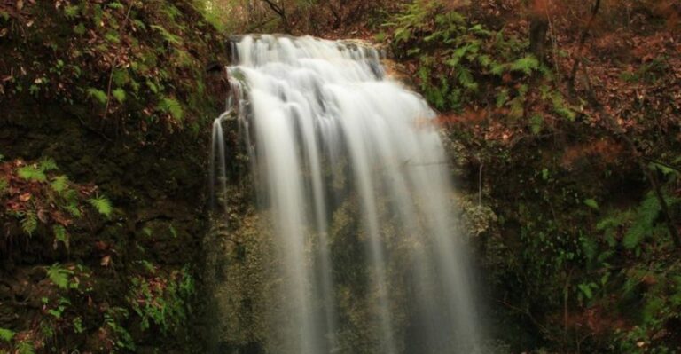 This Tiny Florida Town Is Home to the State’s Tallest Waterfall – And It’s Worth the Day Trip