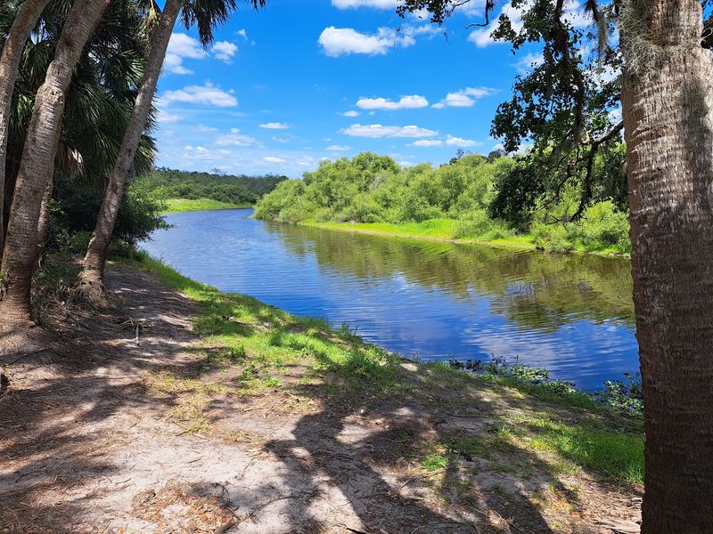 Myakka River State Park Big Flats Campground - Sarasota