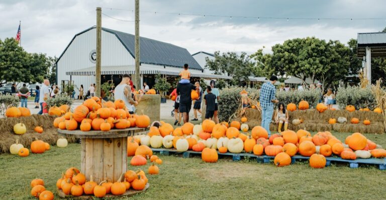 Turn These 9 Florida Pumpkin Patches Into One Unforgettable Fall Road Trip