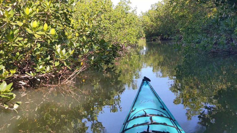 Curry Hammock State Park - Nature Without the Crowds