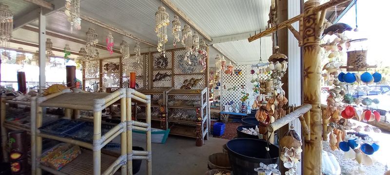 Sea Forest Shell Factory - Inglis
