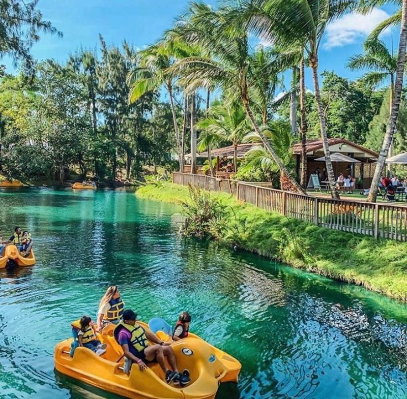 Pinto's Farm - Miami