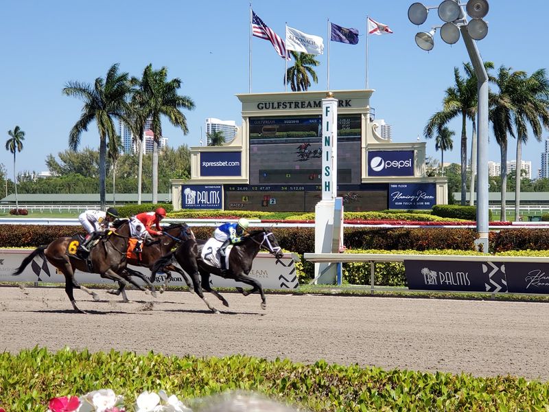 A Racing Tradition Born in 1939