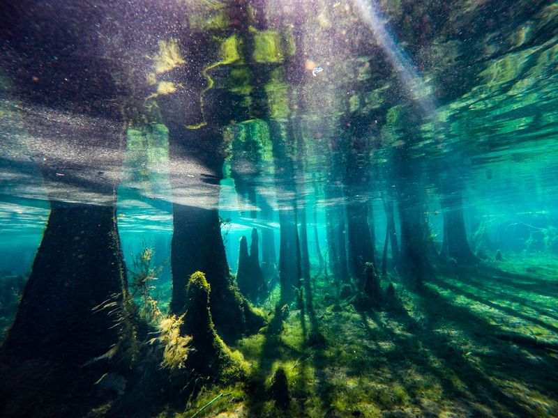 World-Class Diving and Snorkeling Opportunities