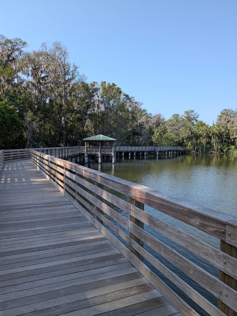 Wander the Tree-Lined Neighborhoods