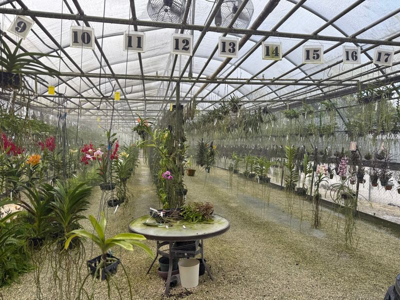 Perfect for Nature Lovers and Plant Enthusiasts