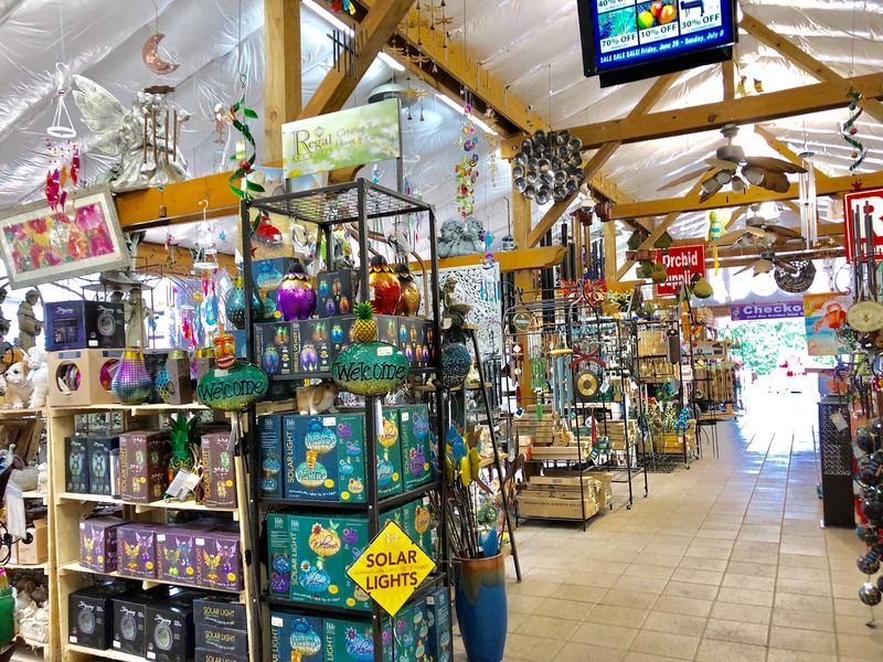 Membership Perks That Reward Regular Visitors