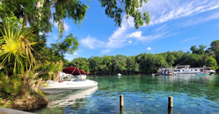 You Can See the Bottom of This Stunningly Clear Florida Spring