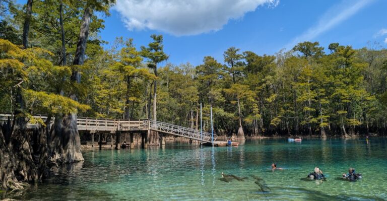 You’ll Want to See This Secret Florida Swimming Hole With Your Own Eyes