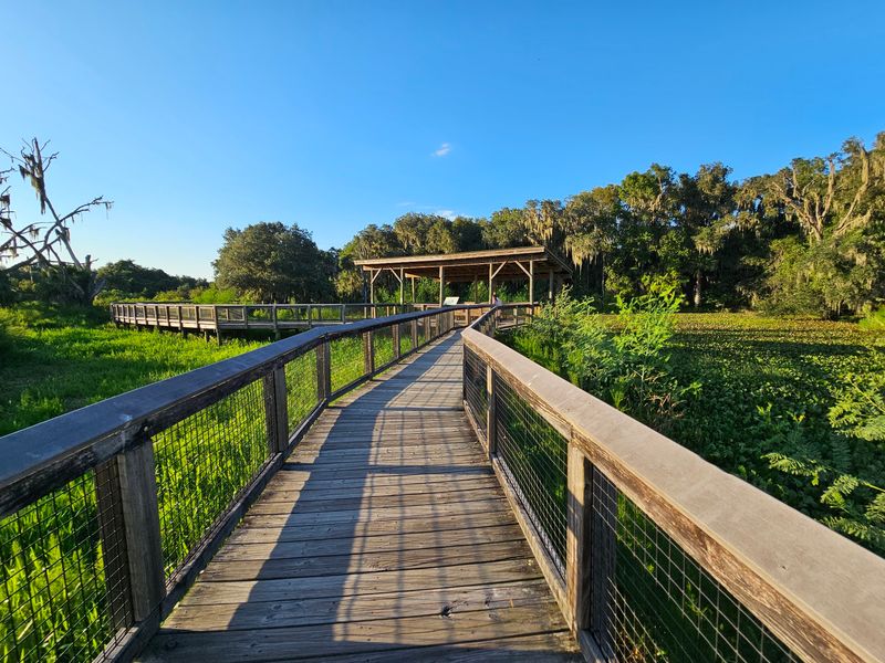 La Chua Trail - Gainesville