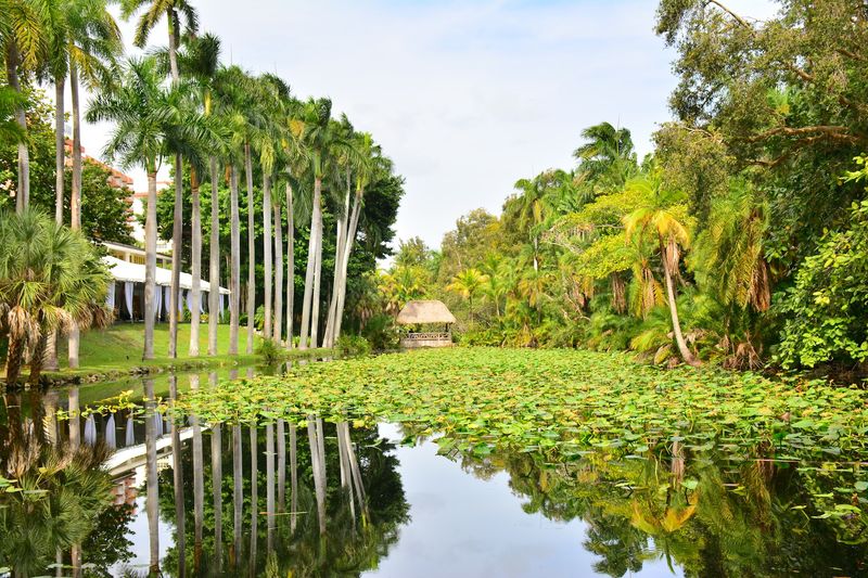 A 35-Acre Oasis in the Heart of Fort Lauderdale