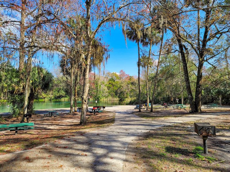 Alexander Springs Camping Area - Altoona