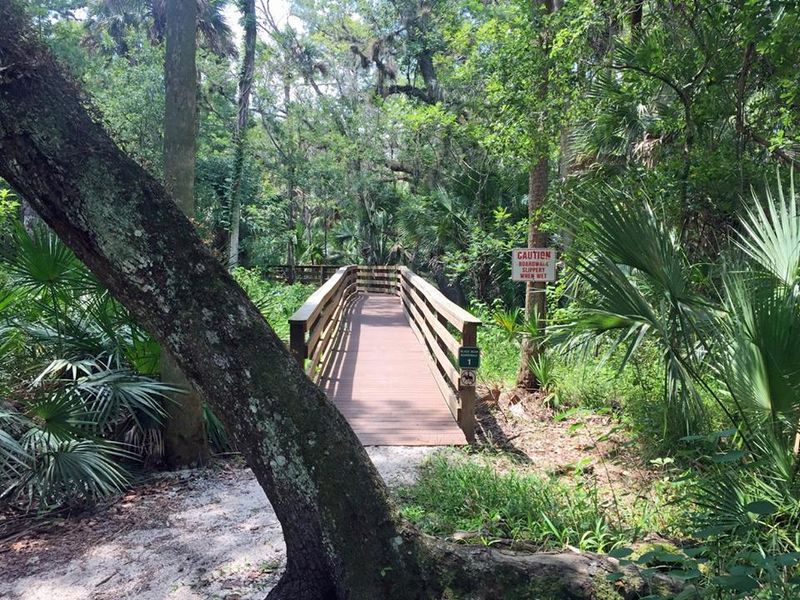 Black Bear Wilderness Area - Sanford