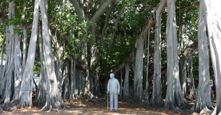 10 Senior-Friendly Florida Day Trips That Are Easy, Relaxing, and Under $25