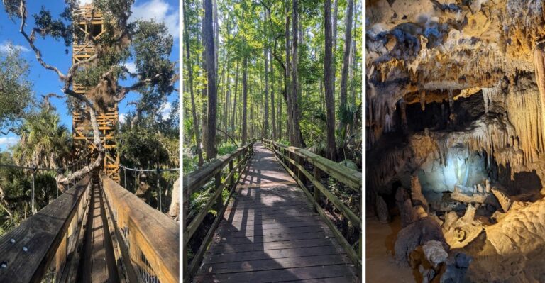 11 Florida State Parks That Might Make You Forget About the Everglades