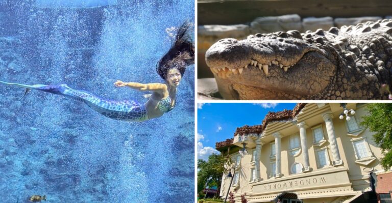12 Florida Attractions That Sound Tourist-Trappy but Are Actually Worth Visiting