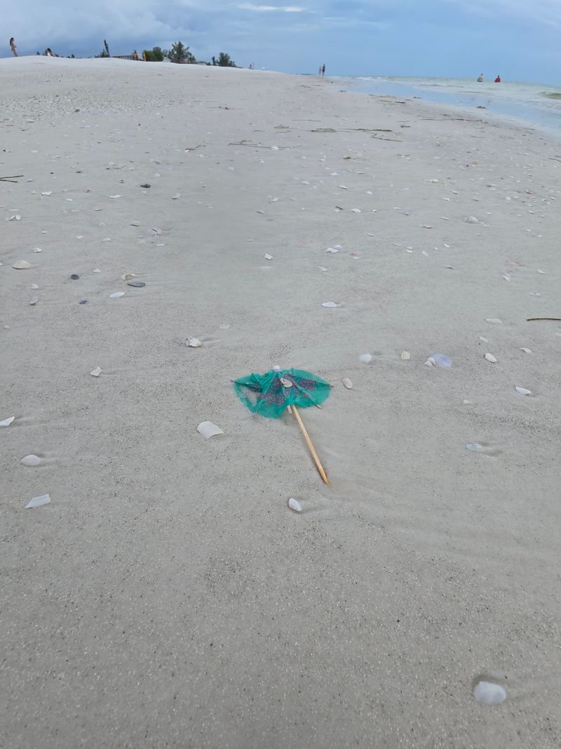 Bring A Bag Because The Shells Keep Coming