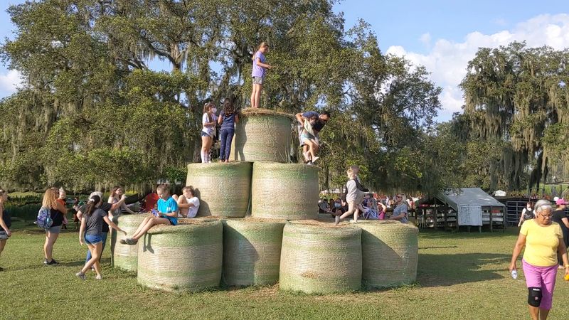 Corn Tubs, Tire Swings, And A Mountain Made Of Hay
