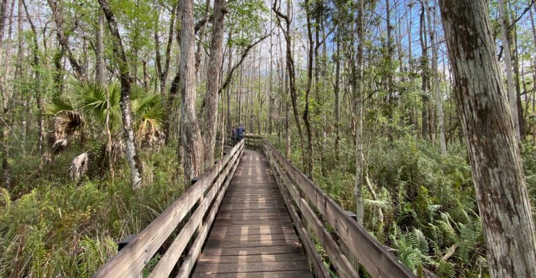 5 Free Things to Do in and around Fort Myers, Florida That Feel Like Local Secrets