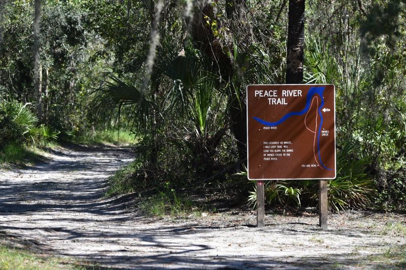 Why Fossil Hunting Is Such a Big Draw at Paynes Creek